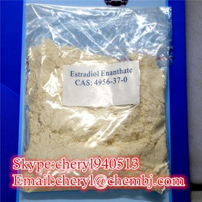 Estradiol Benzoate CAS:50-50-0 (Estradiol Benzoate CAS:50-50-0)